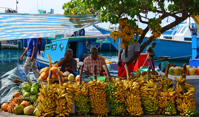ލޯކަލް މާރުކޭޓް ސަރަހައްދު ތަރައްޤީކުރަން ނިންމައިިފި