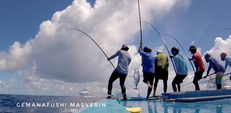 މަސްވެރިންނަށް ނުދީ ހުރި 15.1 މިލިއަން ރުފިޔާ މިއަދު ޖަމާކުރަނީ