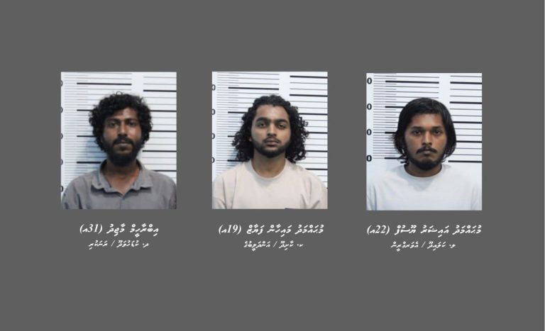 މާލޭގެ ތިން ގެެއަކުން ގިނަ އަދަދެއްގެ މަސްތުވާތަކެތި ހޯދައި ތިން މީހަކު ހައްޔަރުކޮށްފި