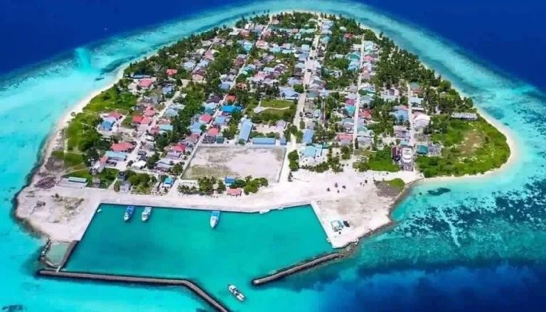 އިންތިޚާބަކާ ނުލައި ދެއްވަދޫ އަންހެނުންގެ ކޮމިޓީއަށް ޕީއެންސީގެ 3 މެންބަރުން އިންތިޚާބުވެއްޖެ