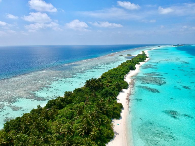ދޯންޏެއްގެ ބުރަފަތީގައި ޖެހި 15 އަހަރުގެ ސިންގަޕޫރު ކުއްޖެއް މަރުވެއްޖެ
