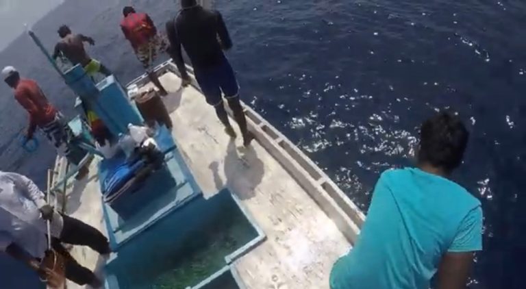 މަސްވެރިންގެ ދުވަސް ފާހަގަކުރުމަށް ފިޝަރީޒް މިނިސްޓްރީން ފަރުމަސްވެރިކަމުގެ މުބާރާތެއް ބާއްވަނީ