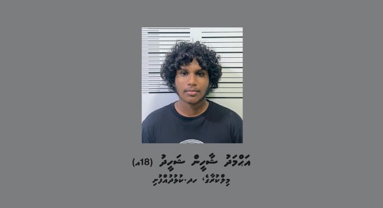 ފުލުހެއްގެ ގައިގައި ސައިކަލުން ޖެއްސި މީހަކު ހައްޔަރުކޮށްފި