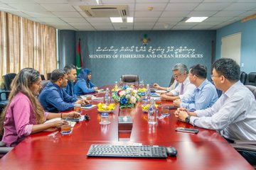 މެރިކަލްޗަރ ދާއިރާއިން ތަމްރީނު ހިންގުމާ ގުޅޭގޮތުން މަޝްވަރާކޮށްފި