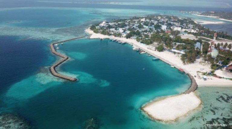 ހަތަރު މަހުގެ ކުއްޖާގެ ހަށިގަނޑު ޕޯސްޓްމޯޓަމް ހެދުމަށް ބޭރަށް ފޮނުވައިފި