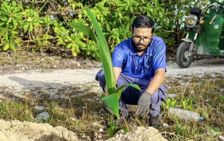 ފަސްލައްކަ ގަސް އިންދުން: ސްޓެލްކޯއިިން މިހާތަނަށް ބައިލައްކައަށްވުރެ ގިިނަ ގަސް އިންދައިފި