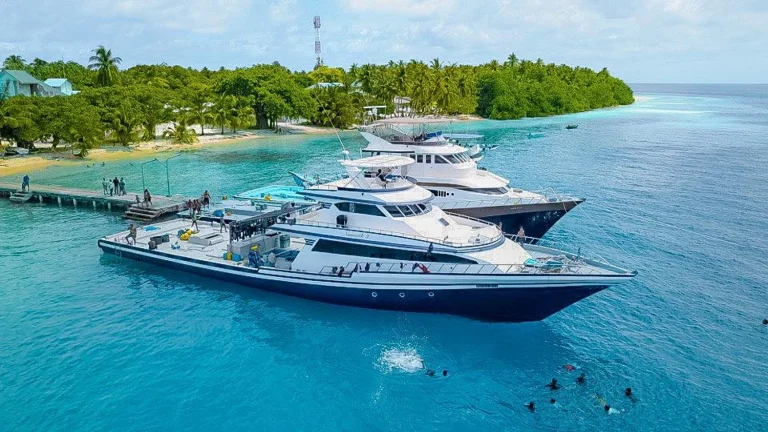 އިތުރު 4 ރަށަކުން އެސްޓީއޯ ރޭޓްގައި މަސްވެރިންނަށް ތެޔޮ ވިއްކަން ފަށައިފި