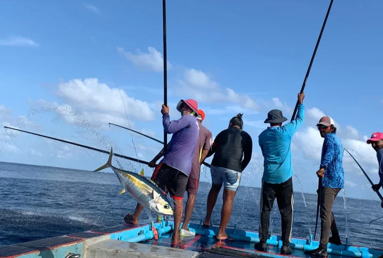 މަސްވެރިންގެ ގައުމީ ދަފުތަރާ ބެހޭ ގަވާއިދު މި ހަފުތާގައި ގެޒެޓުކުރަނީ