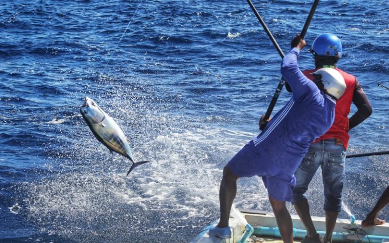 މަސްވެރިކަމުގެ ދަފުތަރާ ގުޅޭ ގަވާއިދު ގެޒެޓުކޮށްފި