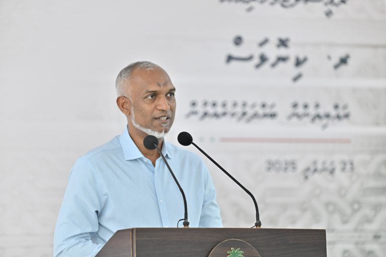 ކުޑަކުދިންގެ ޕާކުތައް ހެދުމަކީ ތަރައްޤީ ގެނެސްދިނުމުގައި މުހިންމު ކަމެއް: ރައީސް