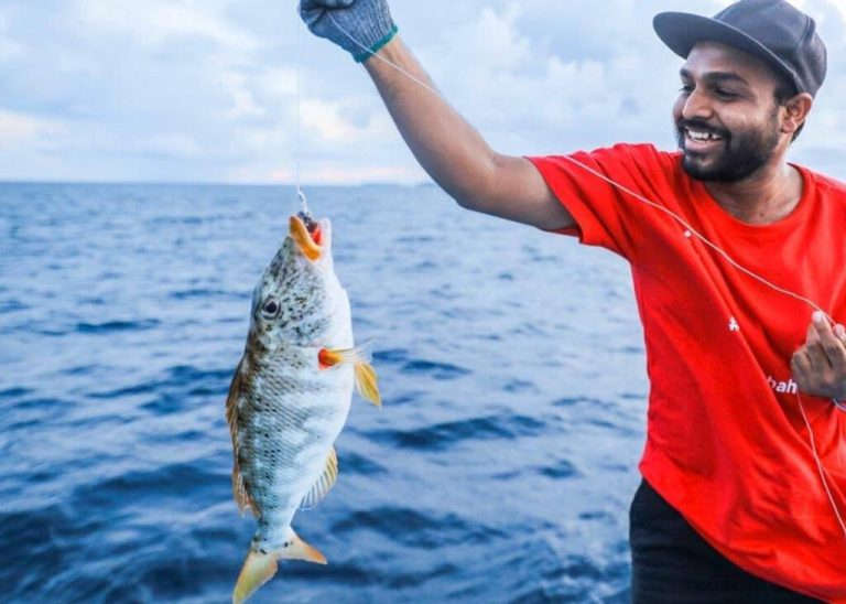ފަރުމަހާއި ހުއިފިލަނޑާގެ މަސްވެރިކަން ހަރުދަނާކުރުމަށް ދެ ގަވާއިދެއް އެކުލަވައިލައިފި