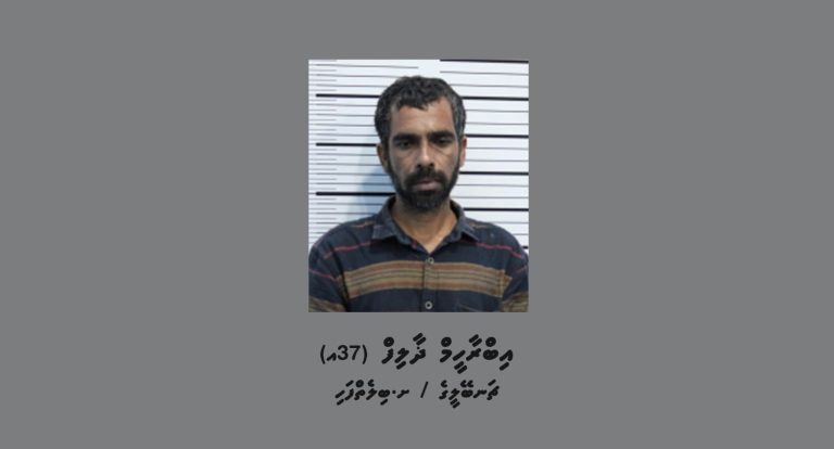 ޓްރާންސްފޯމަރަކުން ވައްކަންކުރަން އުޅުނު މީހާގެ ވަނަވަރު އާންމުކޮށްފި