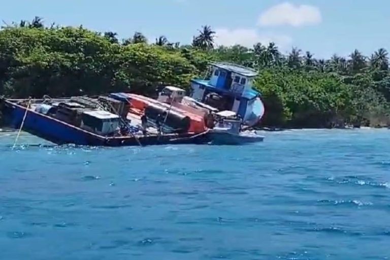 ހިލަވެއްޔާއި ސިމެންތި ހިފައިގެން ދަތުރުކުރި ދޯންޏެއް ފަރަށް އަރައިފި
