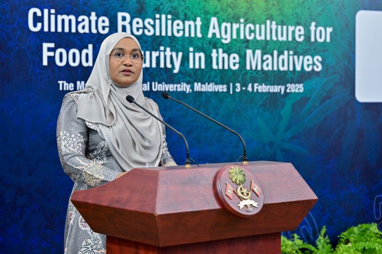 ރާއްޖޭގައި ދެމެހެއްޓެނިވި ދަނޑުވެރިކަމުގެ ސިނާޢަތެއް ބޭނުން: މެޑަމް ސާޖިދާ