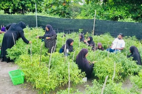 ދަނޑުވެރިކަމަށް ޗައިނާއިން ދިން އެހީ ހަވާލުކުރާނީ އަތޮޅު އަދި ސިޓީ ކައުންސިލްތަކާ