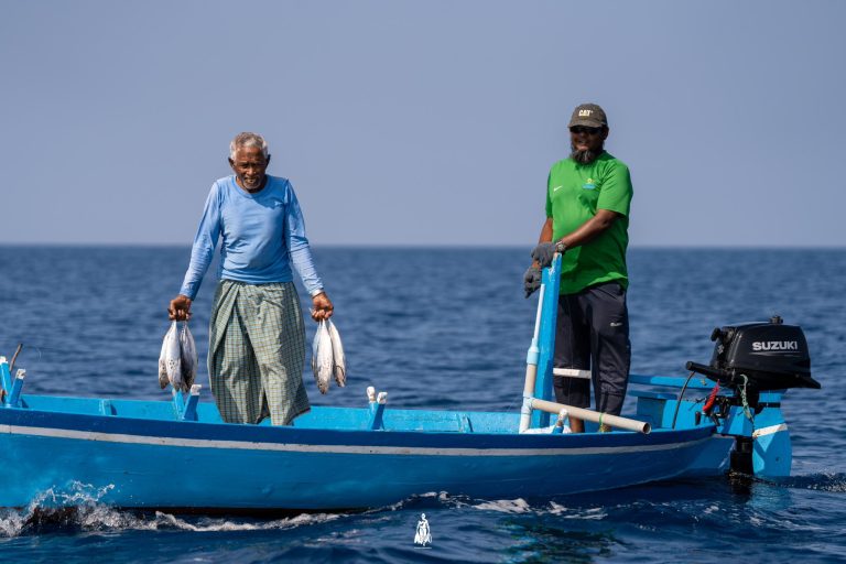 މަސްވެރިންނަށް މިހާތަނަށް 385 މިލިއަން ރުފިޔާ ދޫކޮށްފި: ރައީސް