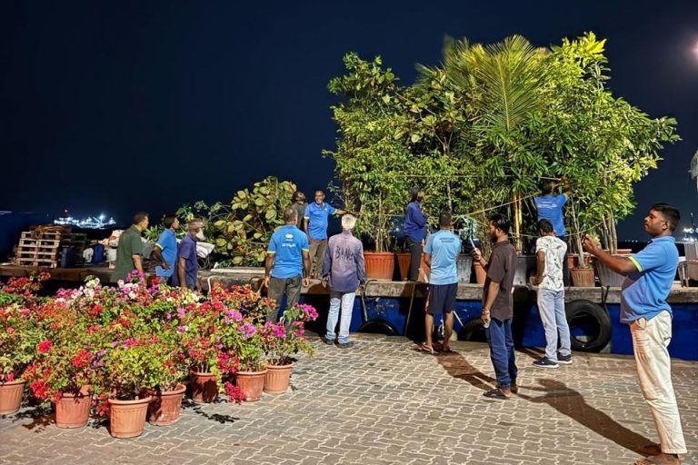 ވިލިމާލޭގައި ގަސް އިންދުމުގެ ހަރަކާތްތަކެއް ފަށައިފި