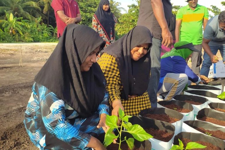 ދަނޑުވެރިންގެ ދަފުތަރެއް އެކުލަވާލުމަށް ނިންމައިފި
