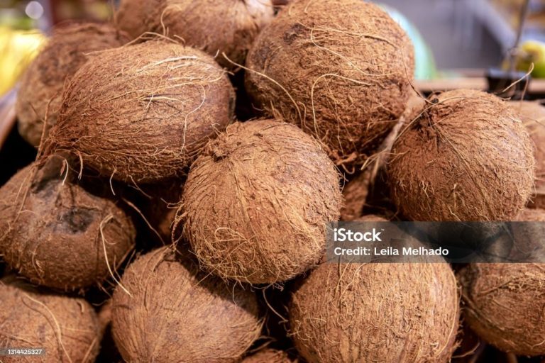 ބާޒާރުގައި ކާށި މަދުވެ އަގު އުފުލިއްޖެ