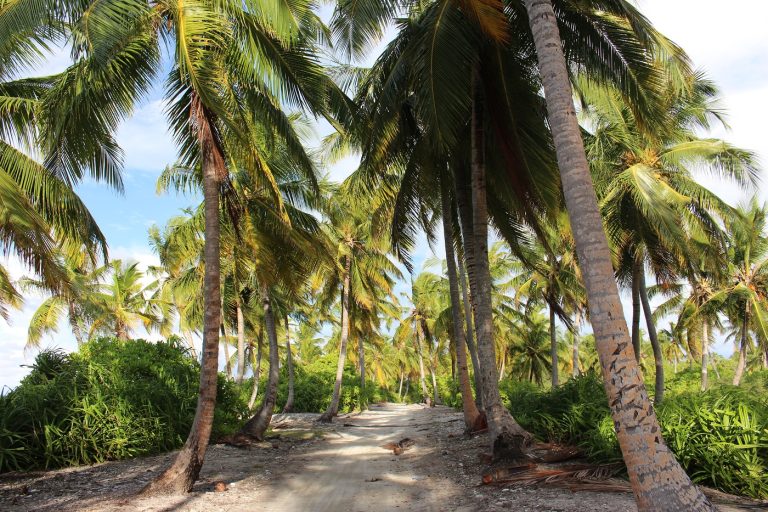 ބިދޭސީ އަންހެނަކު ރަހީނު ކުރި ކަމަށް ބުނާ މައްސަލައިގެ ހަގީގަތް ފުލުހުން ހާމަކޮށްފި