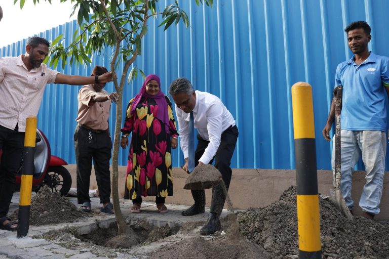 ވިލިމާލޭ ގަސްއިންދުމުގެ ހަރަކާތްތުގައި 200 ގަސް އިންދައިފި