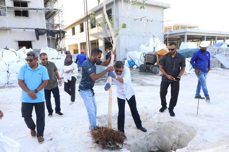 އައްޑޫގައި ޤާއިމްކުރާ ފުލުހުންގެ ސަރަހައްދީ ހެޑްކުއާޓަރުގައި މޭވާ ގަސް އިންދައިފި