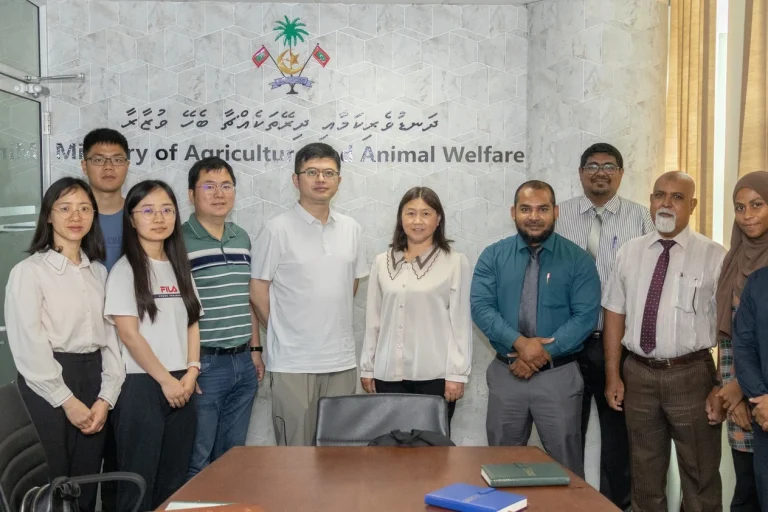 ޗައިނާ އާއިއެކު ދަނޑުވެރިކަން ކުރިއެރުވުމަށް އެއްބަސްވުމެއް އެކުލަވާލަނީ