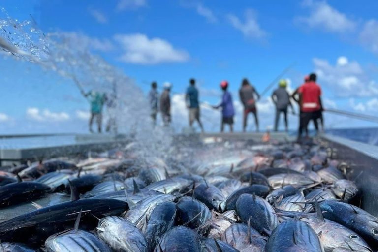 އިންޑިއަން އޯޝަން ޓޫނާ ކޮމިޝަންގެ 30 ވަނަ ބައްދަލުވުން ރާއްޖޭގައި ބާއްވަން ނިންމައިފި