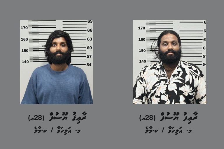 މަސްތުވާތަކެއްޗާއެކު ހައްޔަރުކުރި އެއްމާބަނޑު ދެބެއިން 30 ދުވަހަށް ބަންދުކޮށްފި