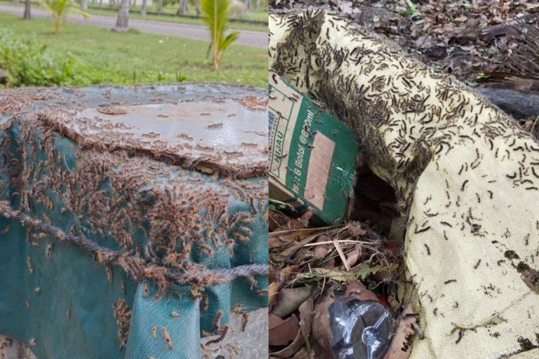 ކާޑެއްދޫ އެއާޕޯޓުގެ ހުވަނީގެ މައްސަލަ ހައްލުކުރަން އެހީތެރިކަން ދީފި