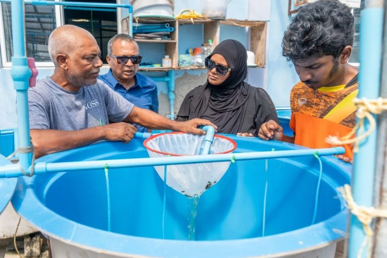 މެރިން ހެޗަރީ ސްކިލްސް ޑިވެލޮޕްމަންޓް ޕްރޮގްރާމުގައި ބައިވެރިވުމަށް ހުޅުވާލައިފި