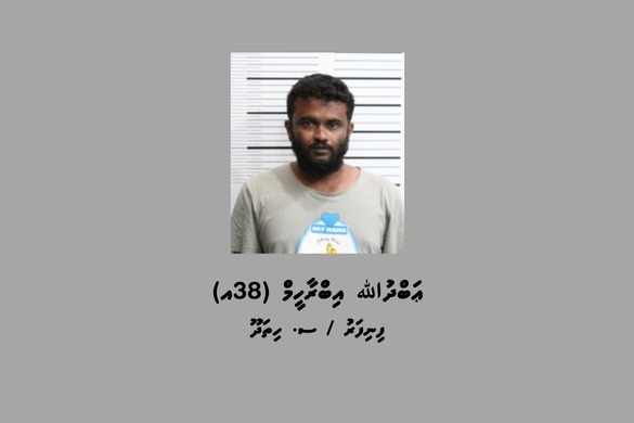 އައްޑޫސިޓީގައި މަސްތުވާތަކެތީގެ ވިޔަފާރި ކުރަމުންދިޔަ މީހަކު އުމުރަށް ޖަލަށްލައިފި