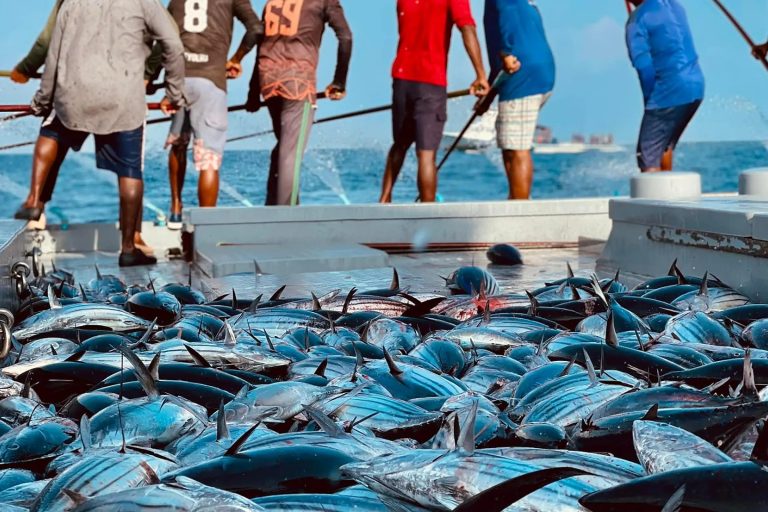 މިފްކޯއިން މަސްވެރިންނަށް 2.97 މިލިއަން ރުފިޔާ ދޫކޮށްފި