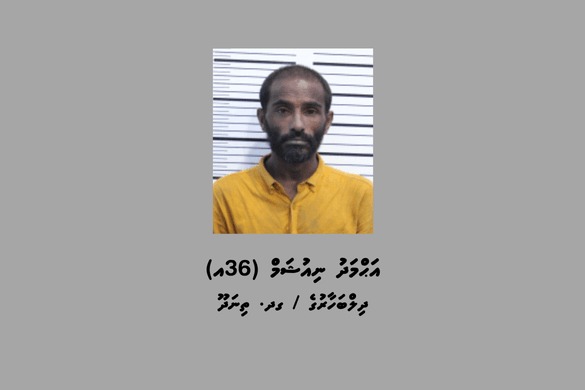 އިމިގްރޭޝަންގެ ގުދަނަކުން ވައްކަންކުރި ދިވެއްސަކު ހައްޔަރުކޮށްފި