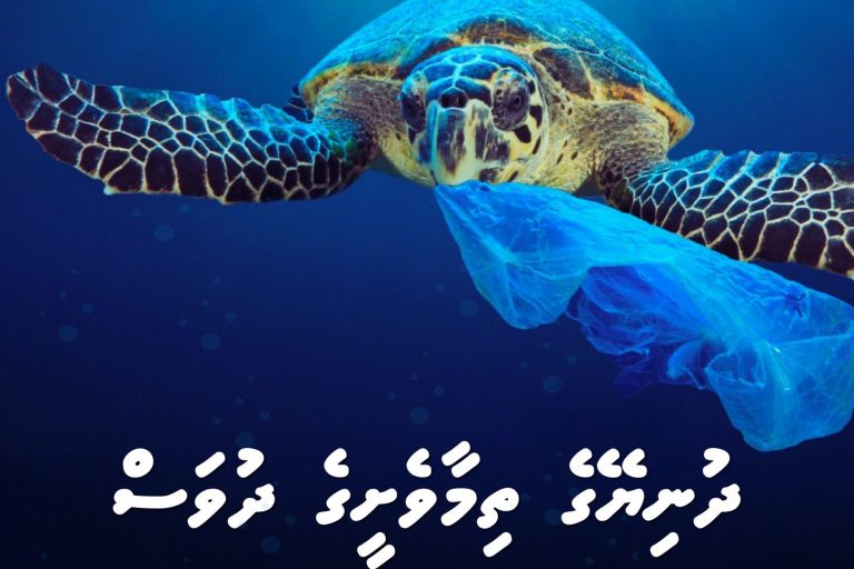 ކަނޑުގެ ދިރުންތައް ހިމާޔަތްކުރުމަކީ ކޮންމެ ދިވެއްސެއްގެ ޒިންމާއެއް: ތިމާވެށްޓާ ބެހޭ ވުޒާރާ
