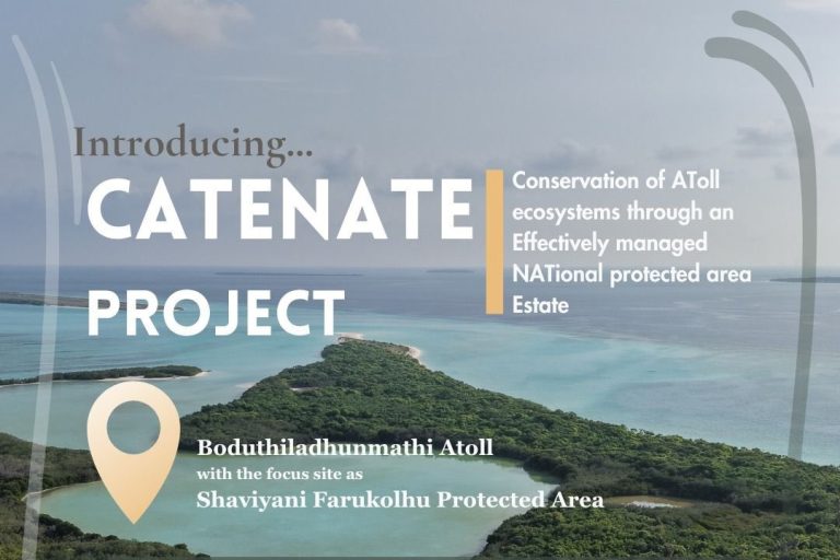 ކެޓެނޭޓް މަޝްރޫޢުގެ ދަށުން ރާއްޖޭގެ މުރަކަތައް ރައްކާތެރިކުރުމުގެ މަސައްކަތް ފަށައިފި
