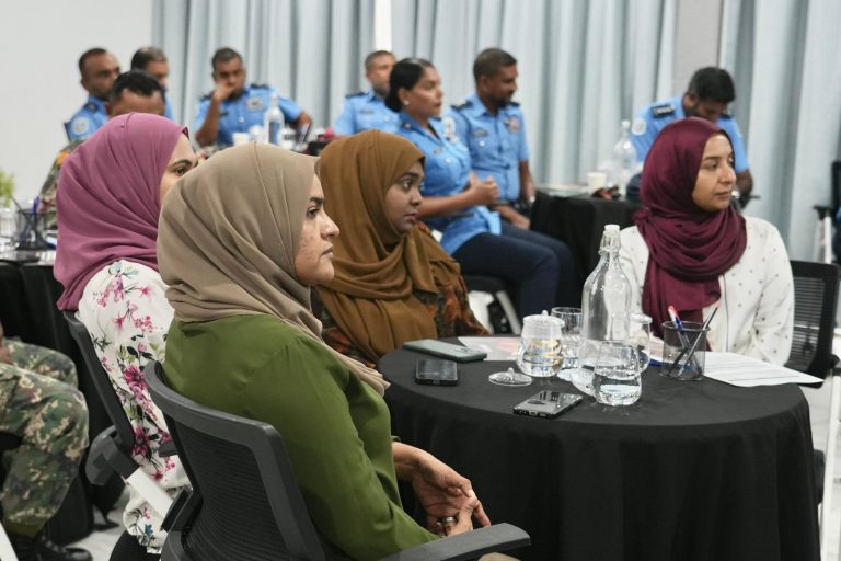 ސިއްޙީ ކުއްލި ޙާލަތްތަކާއި ގުޅޭ ކަންކަން ހަރުދަނާކުރުމަށް ވޯކްޝޮޕެއް ބާއްވައިފި