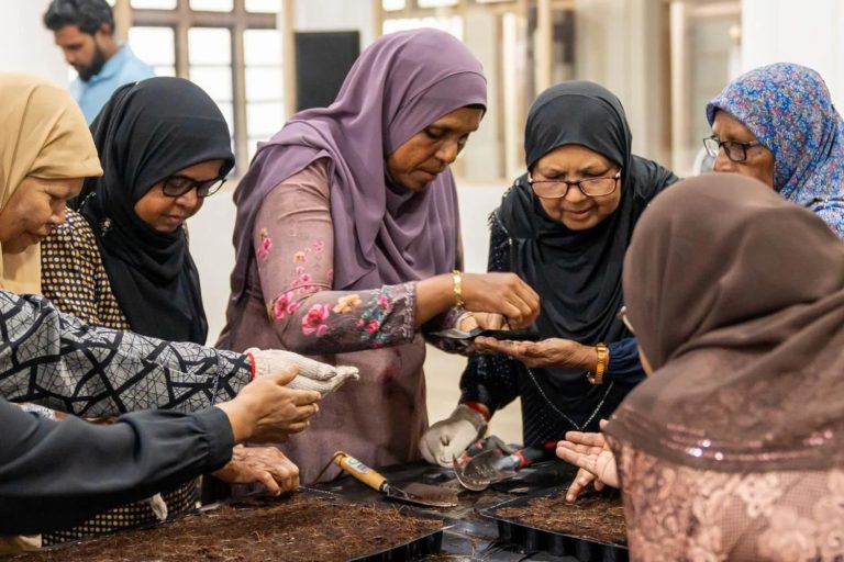 އިސްރަށްވެހިންނަށް ގަސްއިންދަން ދަސްކޮށްދިނުމުގެ ޕުރޮގުރާމެއް ހިންގަނީ