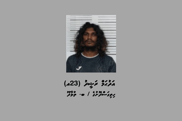 މަސްތުވާތަކެތި ކަމަށް ބެލެވޭ 22 ރަބަރު ޕެކެޓާއެކު ތުޅާދޫން މީހަކު ހައްޔަރުކޮށްފި