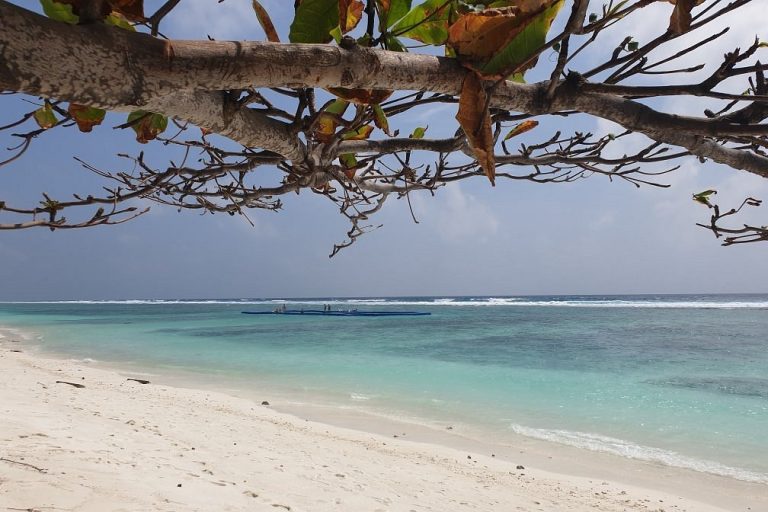 ހުޅުމާލެ ފޭސް ދޭއްގެ ބީޗް ސަރަހަައްދުން ދުވީ މަރުވެފައި އޮތް ބުޅަލެއް ކުނިވާ ވަސް: ފުލުހުން