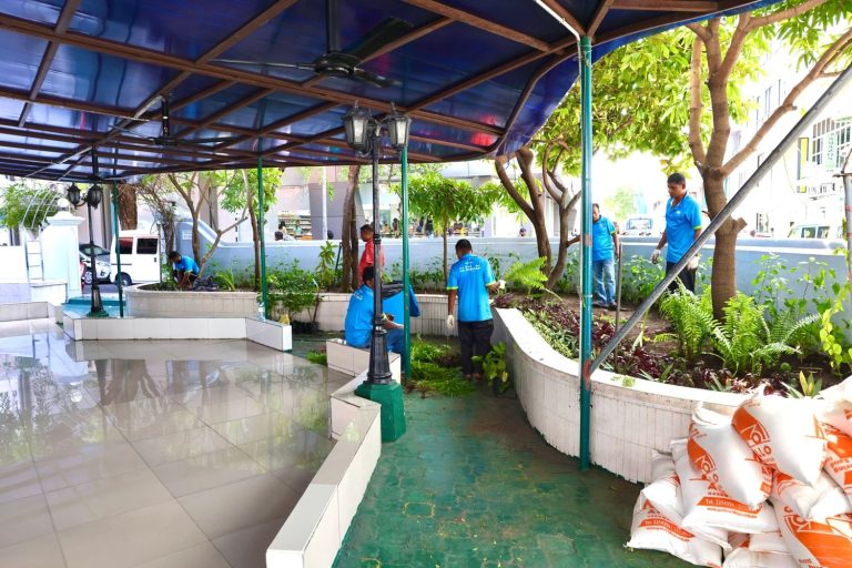 ބަންޑާރަ މިސްކިތް ރީތިކޮށް ފެހިކުރުމުގެ މަސައްކަތް ފަށައިފި