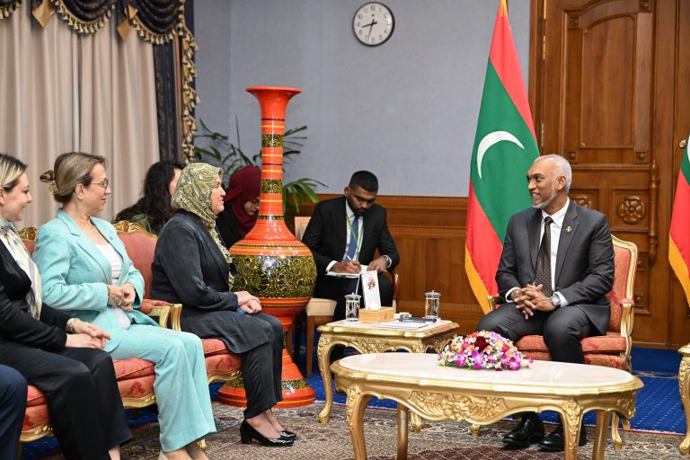 ތުރުކީގެ ގްރޭންޑް ނޭޝަނަލް އެސެމްބްލީގެ ޚާއްޞަ ވަފުދު ރައީސުލްޖުމްހޫރިއްޔާ އާއި ބައްދަލުކުރައްވައިފި