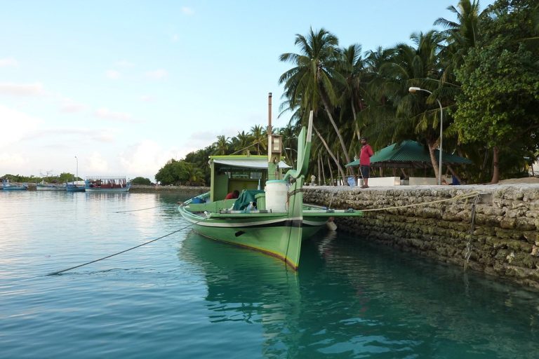 ދޮންފަނުގައި މޮނިއުމެންޓެއް ހަދައިދޭނެ ފަރާތެއް ހޯދަނީ