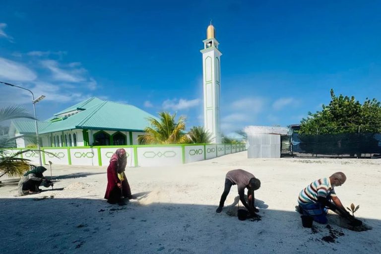 މަޑުއްވަރިއާއި ރަތްމަންދޫގައިވެސް ގަސް އިންދުމުގެ ޙަރަކާތެއް ކުރިއަށް ގެންގޮސްފި
