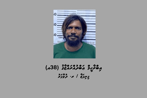 މަސްތުވާތަކެތީގެ މައްސަލައެއްގައި ދުވާފަރުން މީހަކު ހައްޔަރުކޮށްފި