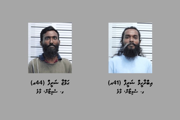 މަސްތުވާތަކެތި ބޭނުންކޮށް ވިޔަފާރިކުރި މައްސަލައެއްގައި ދެބެން ހައްޔަރުކޮށްފި
