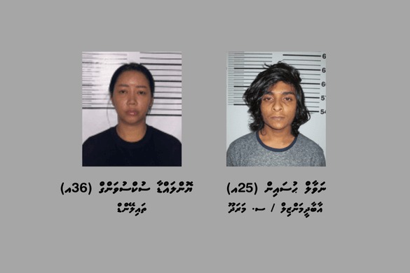 ހަށިވިއްކާކަމަށް ތުހުމަތުކުރެވޭ މައްސަލައެއްގައި އައްޑޫ ސިޓީ މީދޫން ދެ މީހަކު ހައްޔަރުކޮށްފި
