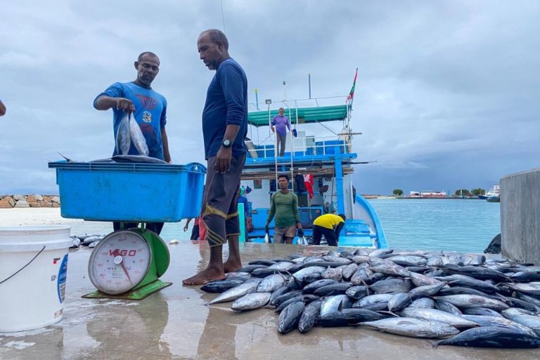 ލޮނުފެނުން މަސްފިނިކުރާ ނިޒާމު ޤާއިމްކުރަން ދޫކުރާ ލޯނަށް އެދޭ ފަރާތްތަކަށް އިތުރު ލުއިތަކެއް