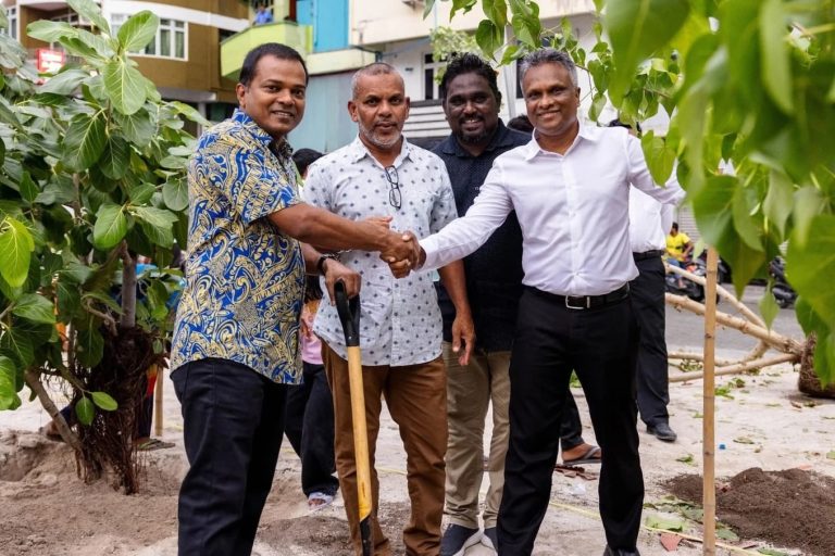 މާލޭ ސިޓީ ކައުންސިލުން ހަ މަސް ތެރޭގައި 4،500 ގަސް އިންދައިފި