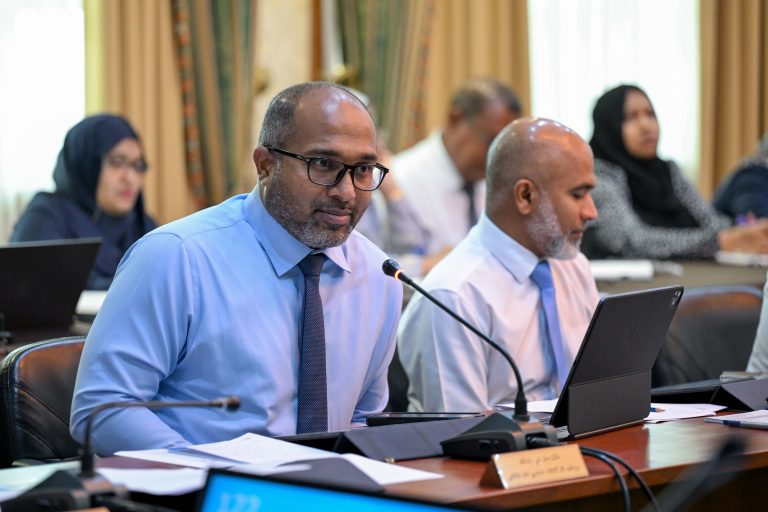 ކުރިއަށް އޮތް ހަތަރު މަސް ދުވަހުގެ ތެރޭގައި ކޮންޓެއިނަރު ސްކޭނަރެއް ގެންނަނީ